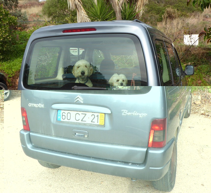 Image00002.jpg