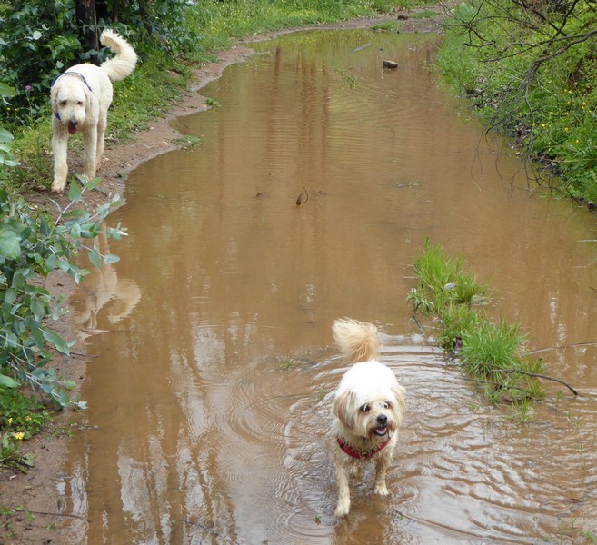 Image00002.jpg
