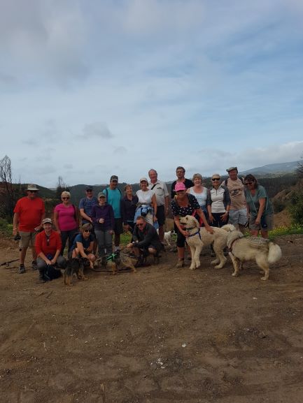 18 Walkers and 5 dogs.jpg