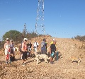 12 brave walkers for the heat and the hills today