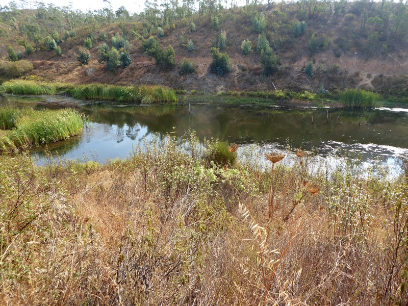 P1110472.jpg
