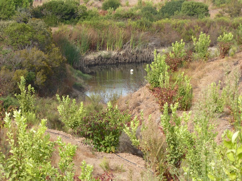 P1110475.jpg