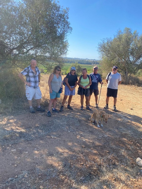 7 walkers and one dog