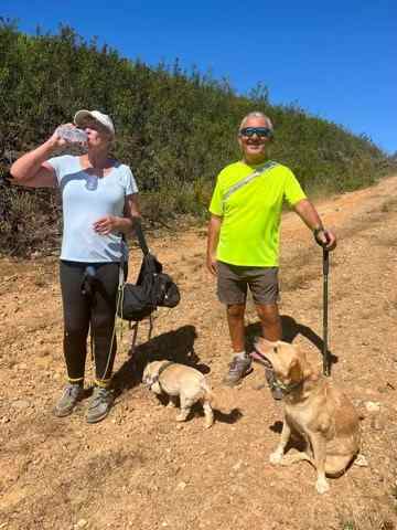 Only 3 walkers and 2 dogs.jpg