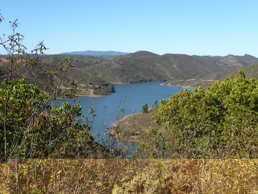 Image00003.jpg