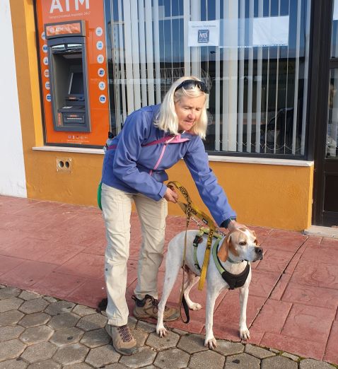 Pumpkin is looking for a forever home.  She was very well behaved and got on well with all the group. She loved the walk as she is an energetic dog who needs more exercise.   If you are able to adopt her please contact the Canil at Portimao.