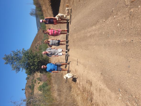 Nice to be back walking again.  We all had a few scratched legs as the path had become overgrown over the summer.