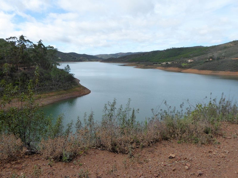 P1080154.jpg
