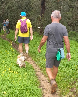 Back via the Cork forest.