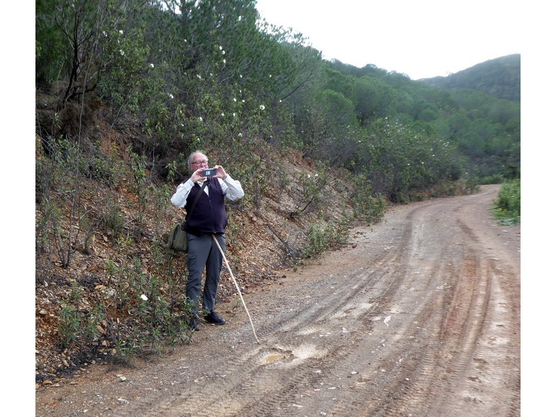 P1100858.jpg