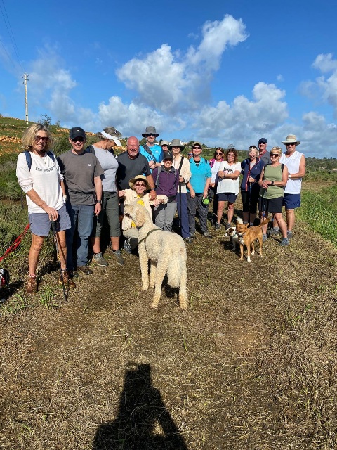 19 walkers and 6 dogs. The sun came out but so did the bees 2 people stung.