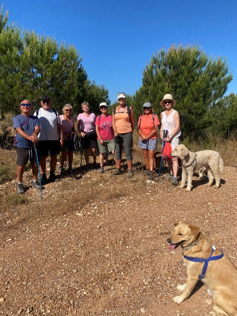 9 walkers and 5 dogs this week