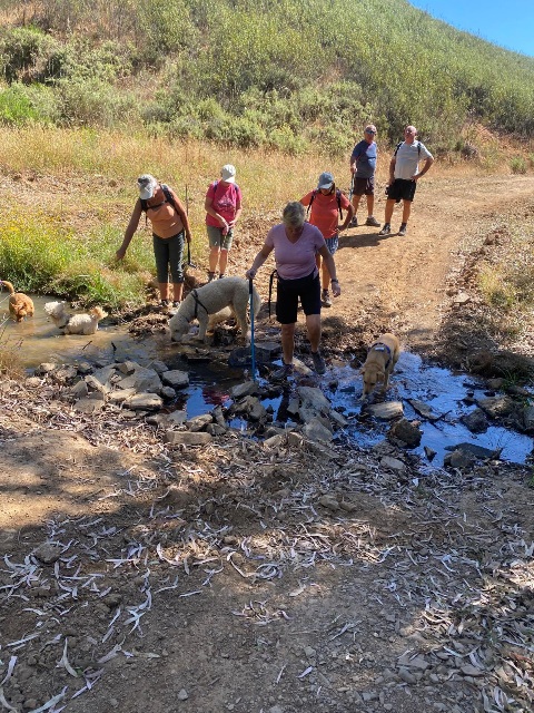 A few easy water crossings