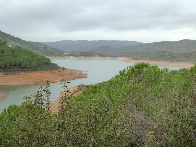 P1110676.jpg