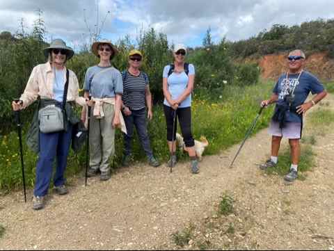 6 walkers and 2 dogs.jpg