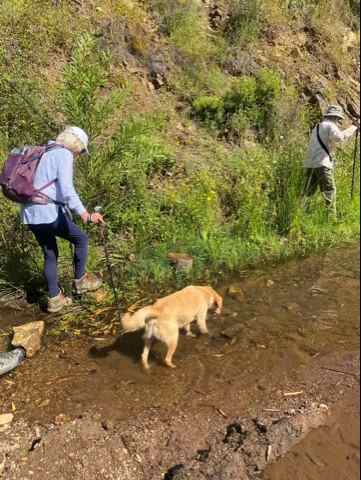 Six water crossings today.jpg