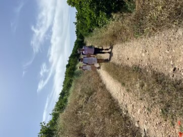 IMG_2096-compressed-compressed.jpeg